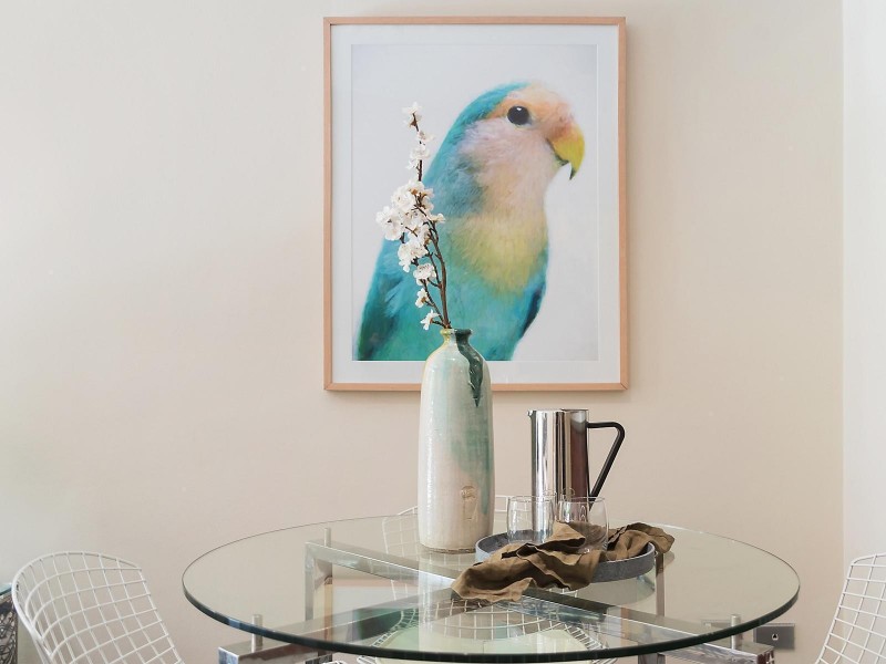 14/6 Jarrett Street, Leichhardt NSW 2040