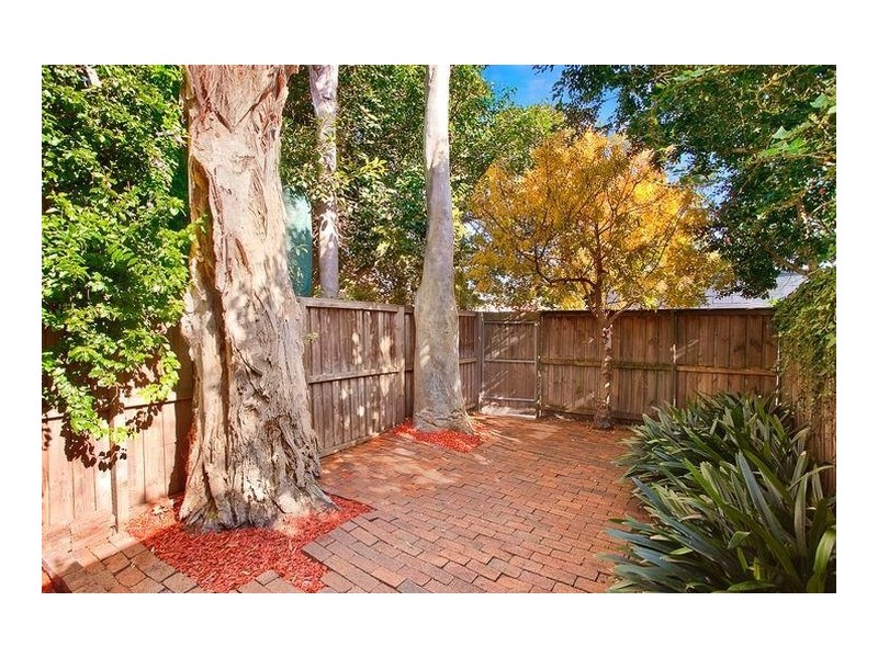 10 Burns Street, Petersham NSW 2049