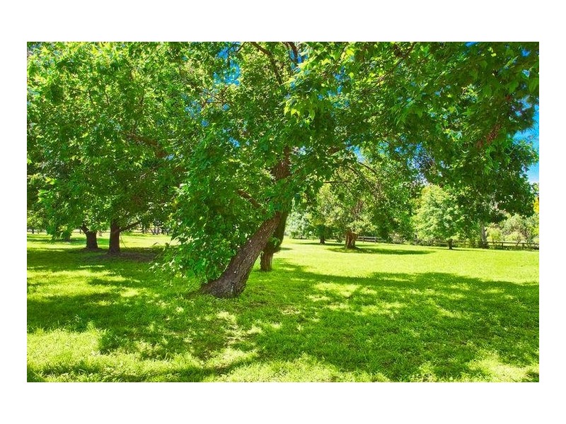 1 Gilmour Close, Glenhaven NSW 2156