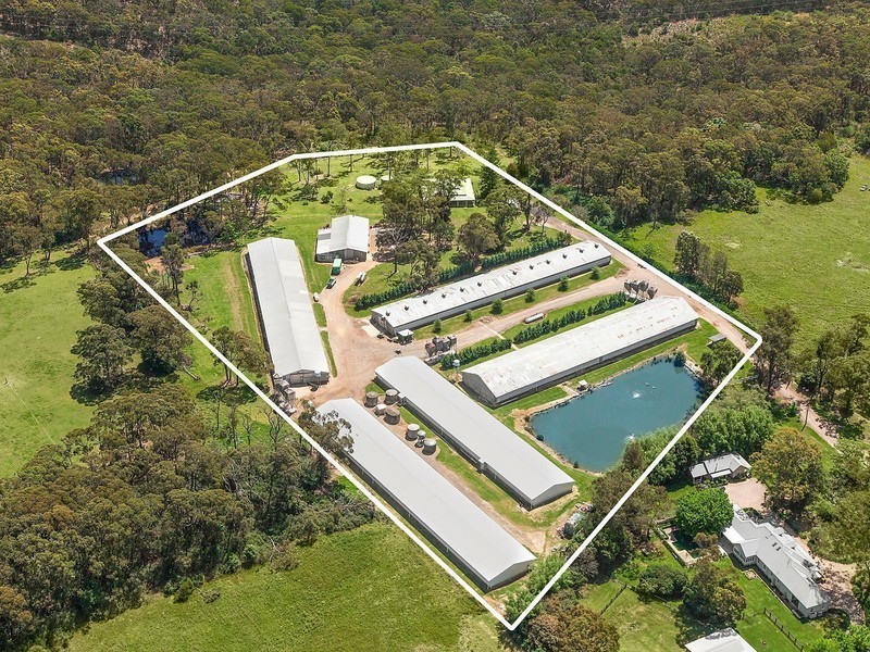 7 Peebles Road, Arcadia NSW 2159