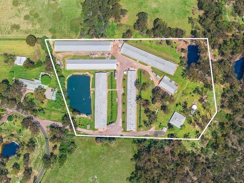 7 Peebles Road, Arcadia NSW 2159