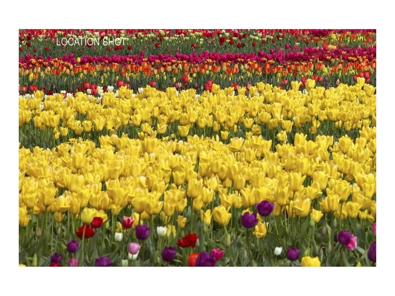 22 Linden Way, Bowral NSW 2576