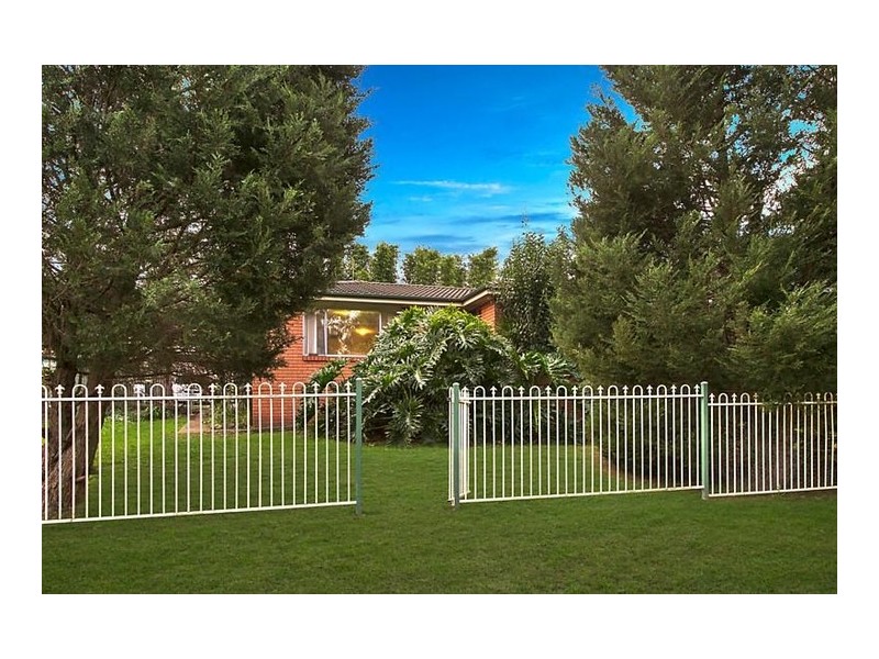 14 Chasselas Avenue, Eschol Park NSW 2558