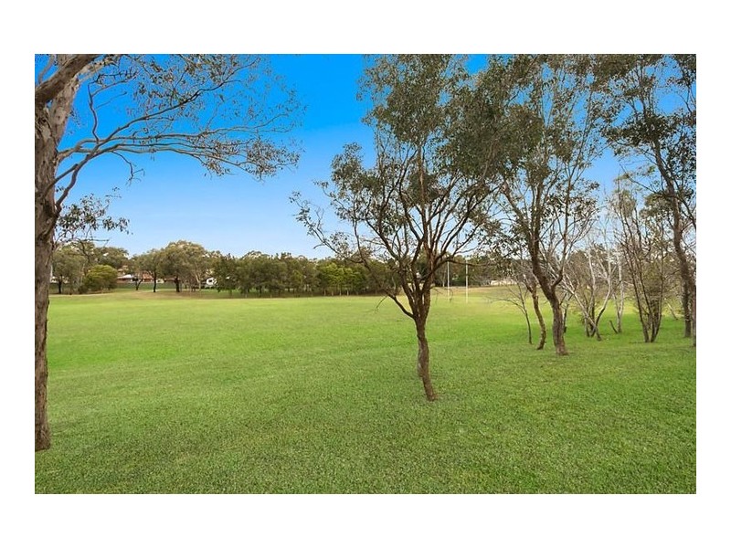14 Chasselas Avenue, Eschol Park NSW 2558