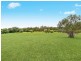 61 Nectarbrook Drive, Orangeville NSW 2570