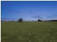Montpelier Grove Estate, The Oaks NSW 2570