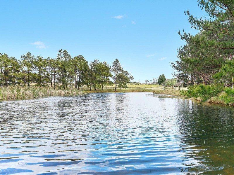 Montpelier Grove Estate, The Oaks NSW 2570