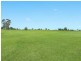 Montpelier Grove Estate, The Oaks NSW 2570