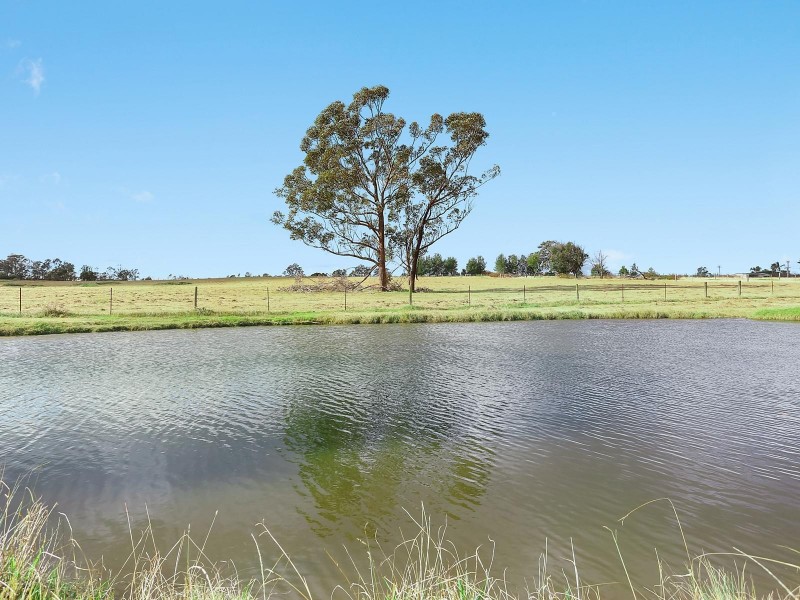 Montpelier Grove Estate, The Oaks NSW 2570