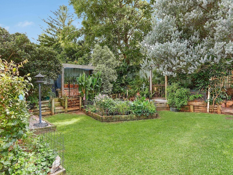 6 Molle Place, Narellan Vale NSW 2567