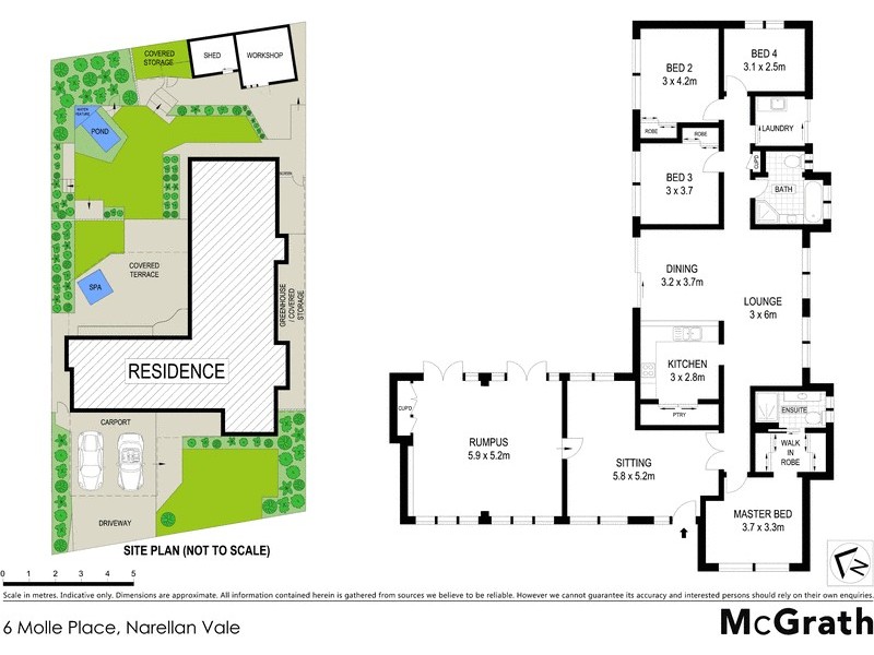 6 Molle Place, Narellan Vale NSW 2567 Floorplan