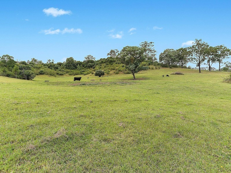515 Spring Creek Road, Mount Hunter NSW 2570