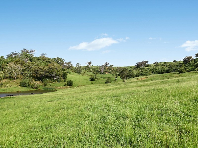 515 Spring Creek Road, Mount Hunter NSW 2570