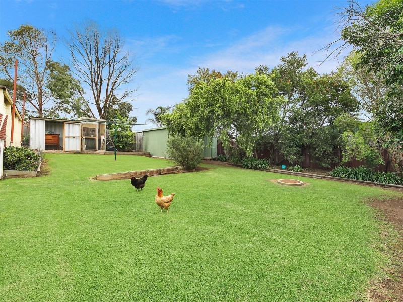 8 Hardwicke Street, The Oaks NSW 2570
