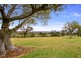 19  Colonial Street, Campbelltown NSW 2560