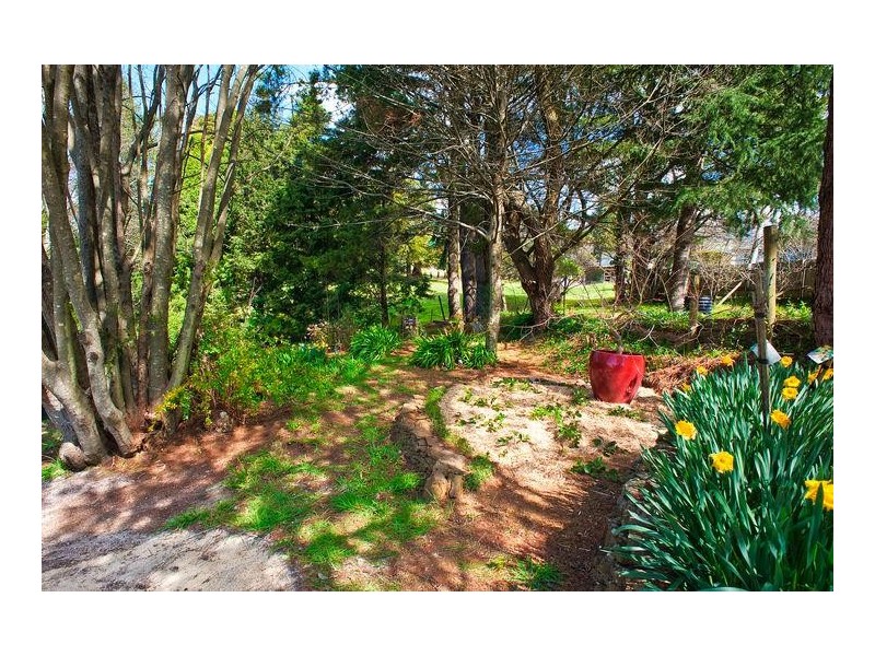 125 Waratah Street, Katoomba NSW 2780