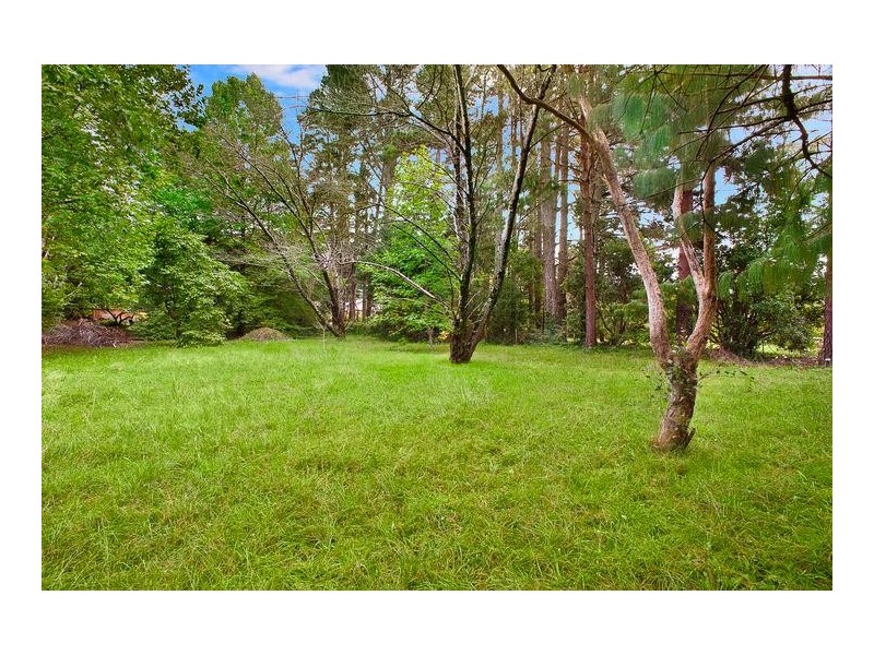 8 Mimosa Avenue, Wentworth Falls NSW 2782