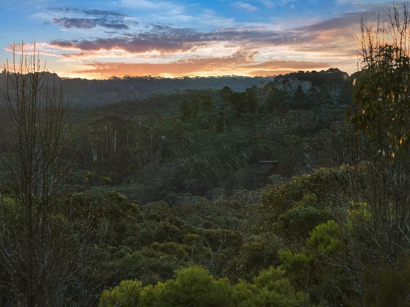 90 Tableland Road, Wentworth Falls NSW 2782