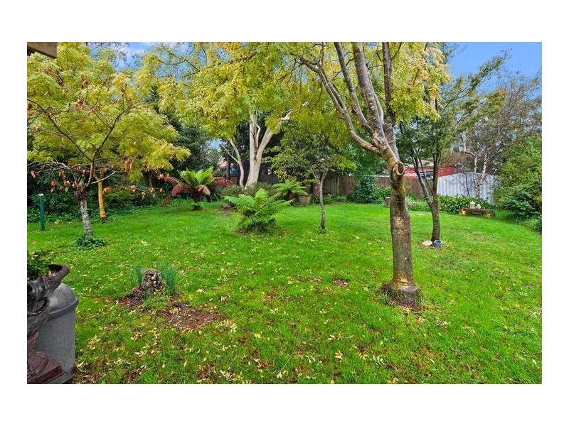 10 Maple Grove, Wentworth Falls NSW 2782