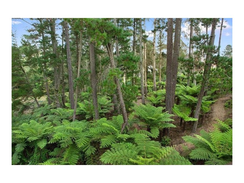 66 Railway Parade, Leura NSW 2780