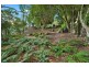 46 Waragil Street, Blackheath NSW 2785