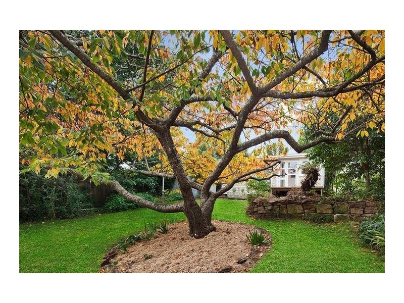 3 Neale Street, Katoomba NSW 2780