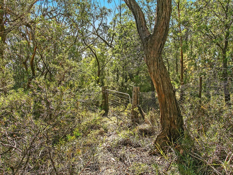 3 Lurline Street, Wentworth Falls NSW 2782