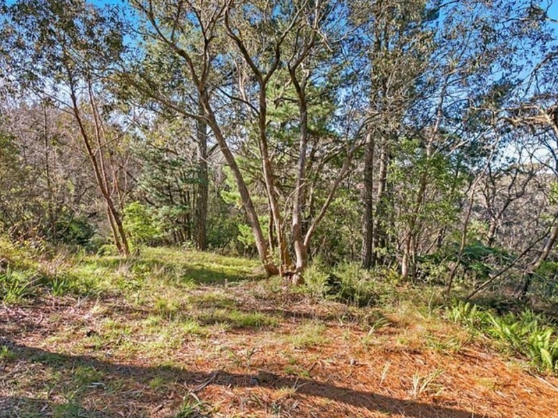 31 Kurrawang Street, Leura NSW 2780