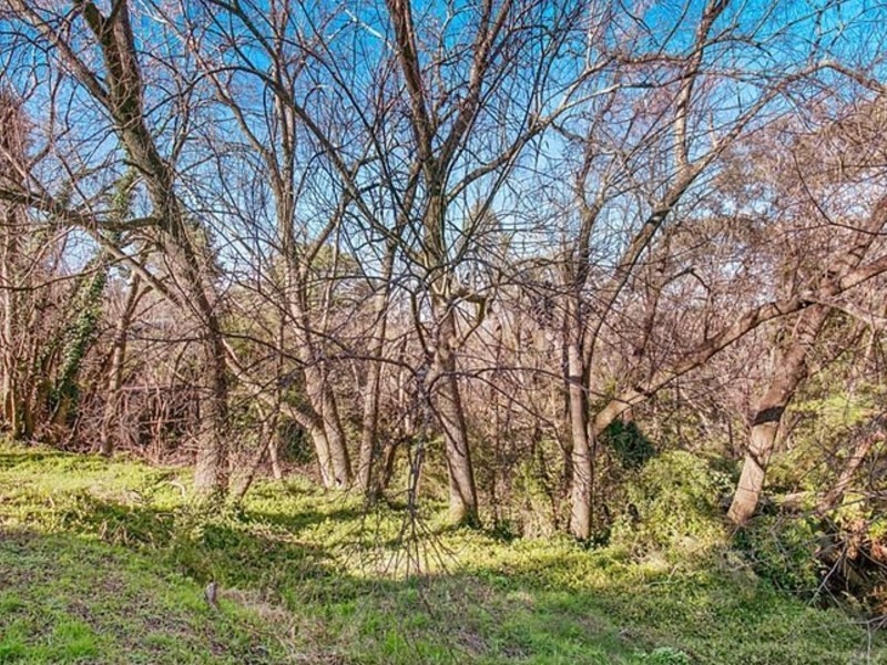 31 Kurrawang Street, Leura NSW 2780