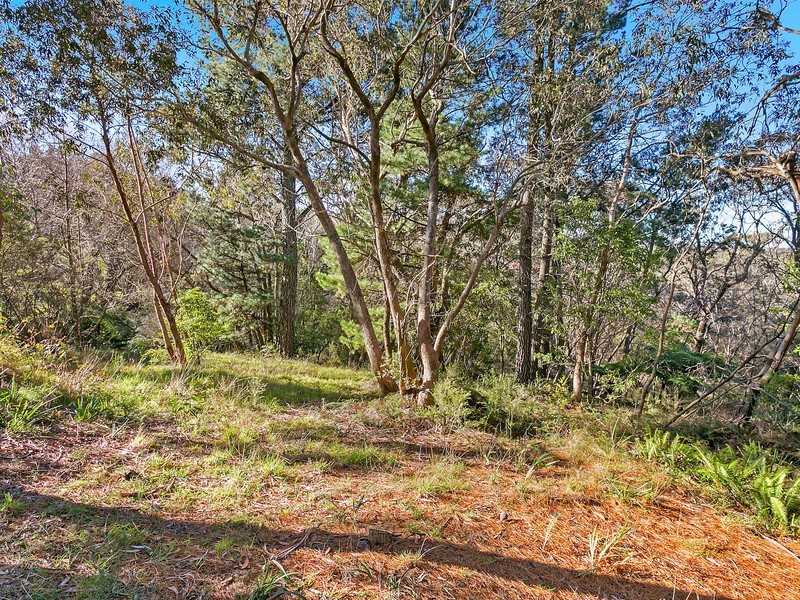 29A Kurrawang Street, Leura NSW 2780