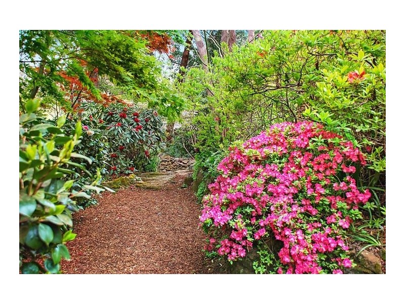 10 Jamieson Street, Leura NSW 2780