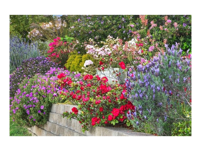 2 Hester Place, Leura NSW 2780