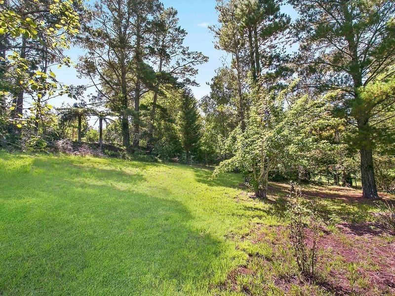 65 Dalrymple Avenue, Wentworth Falls NSW 2782