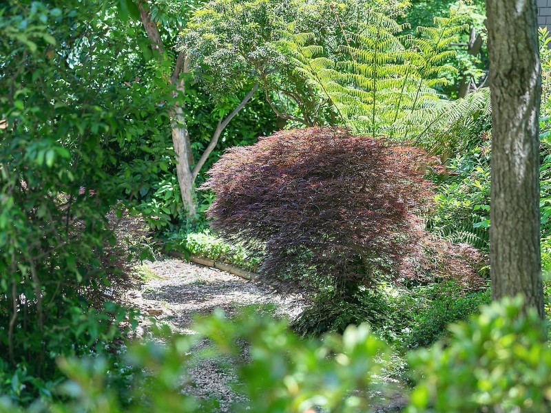 3 Albert Street, Leura NSW 2780