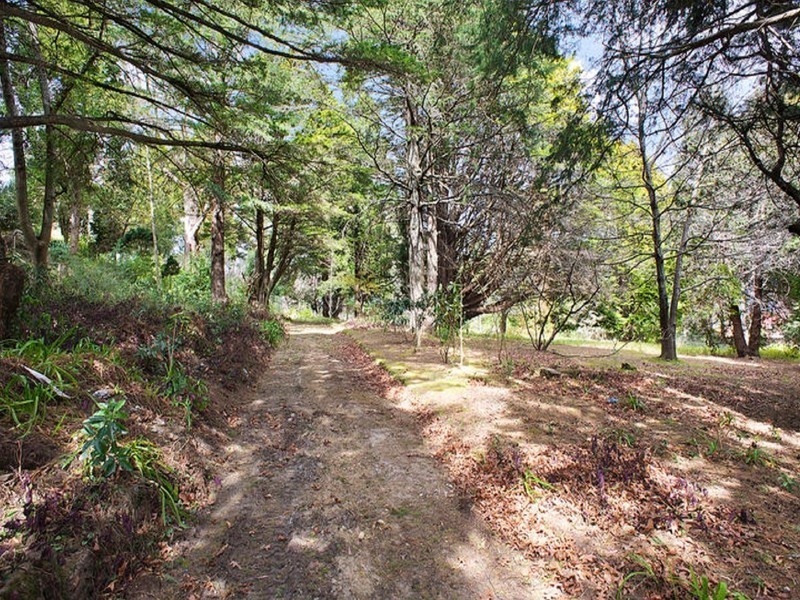 35 Nelson Avenue, Wentworth Falls NSW 2782