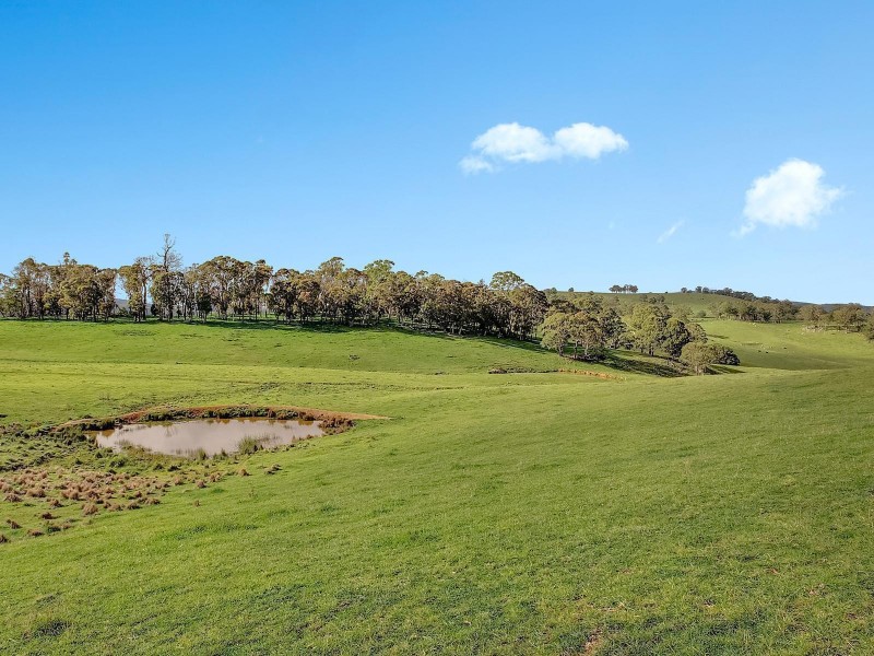 469 Nunans Hill Road, Oberon NSW 2787