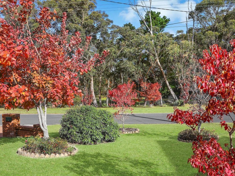 17 Beatty Road, Wentworth Falls NSW 2782