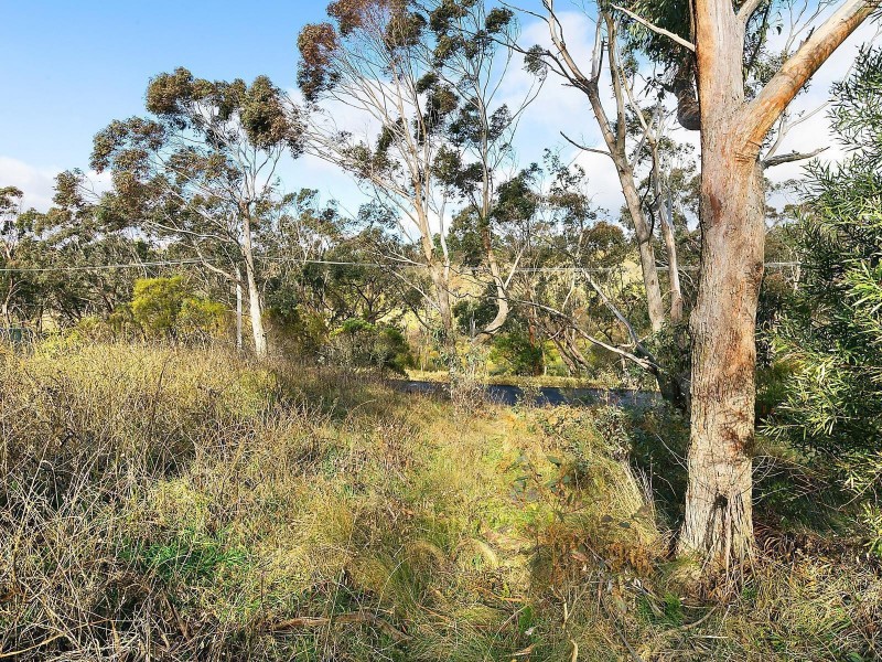 20 Banksia Road, Wentworth Falls NSW 2782