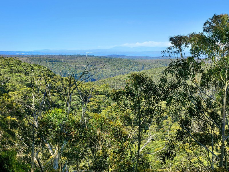 19 Rozelle Street, Wentworth Falls NSW 2782