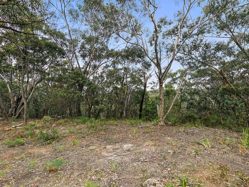 131 Boronia Road, Bullaburra NSW 2784