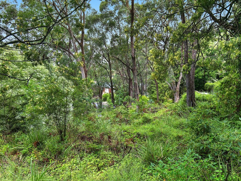 29 Edward Parade, Wentworth Falls NSW 2782