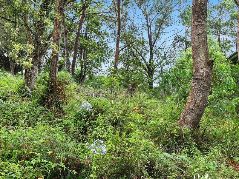 29 Edward Parade, Wentworth Falls NSW 2782