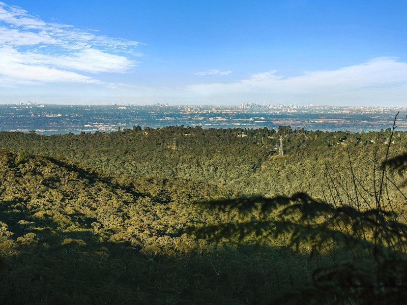 35 Blaxland Road, Wentworth Falls NSW 2782