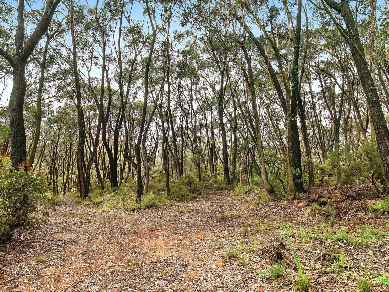 20-24 West Street, Katoomba NSW 2780