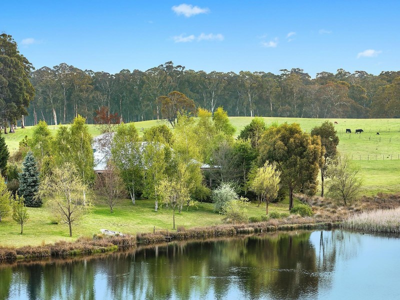 372 Ivers Forest Road, Chatham Valley NSW 2787