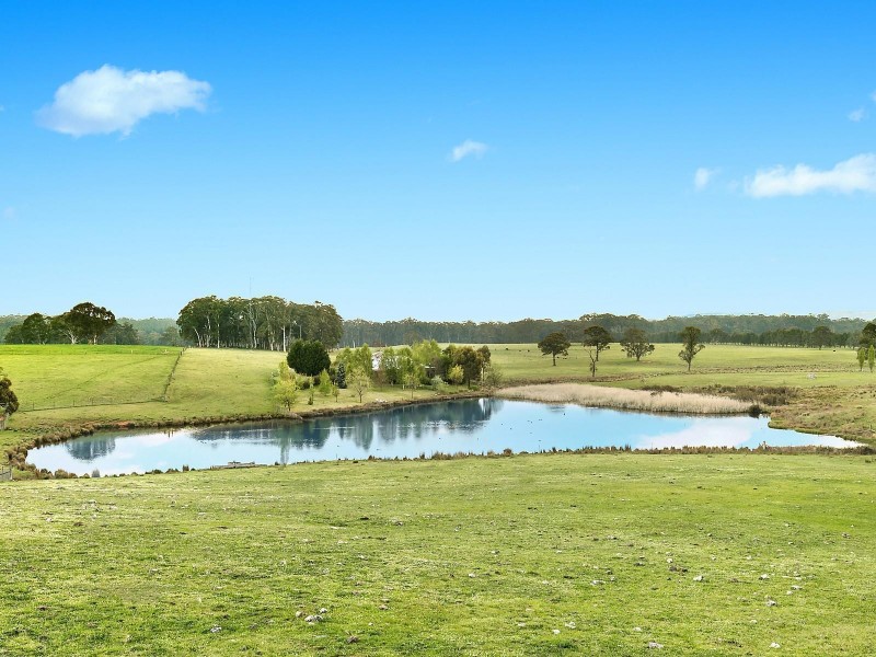 372 Ivers Forest Road, Chatham Valley NSW 2787