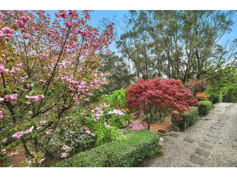 22 Asquith Avenue, Wentworth Falls NSW 2782