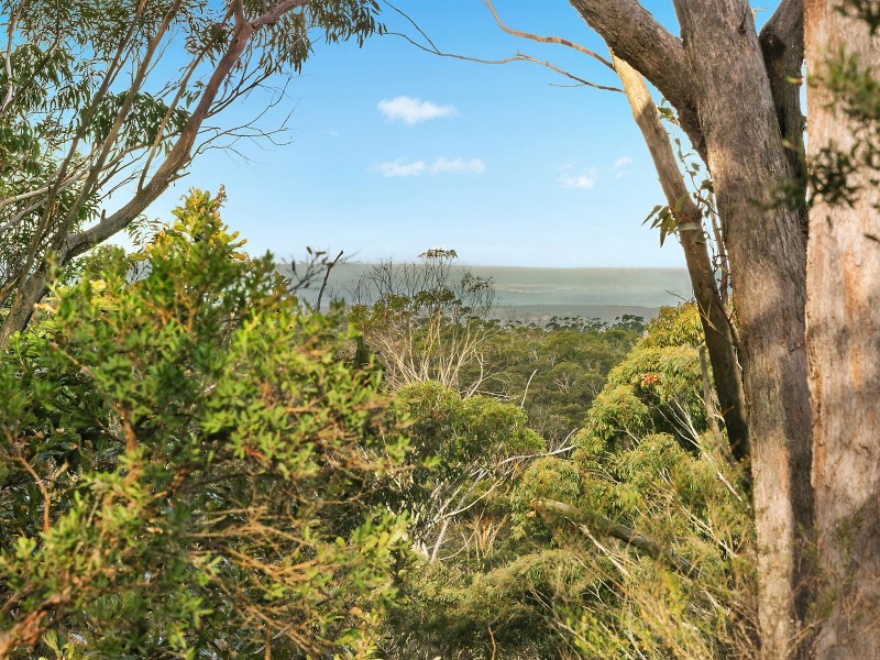 60 Railway Parade, Wentworth Falls NSW 2782