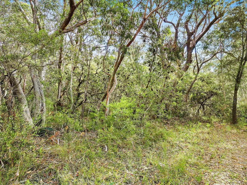 60 Railway Parade, Wentworth Falls NSW 2782