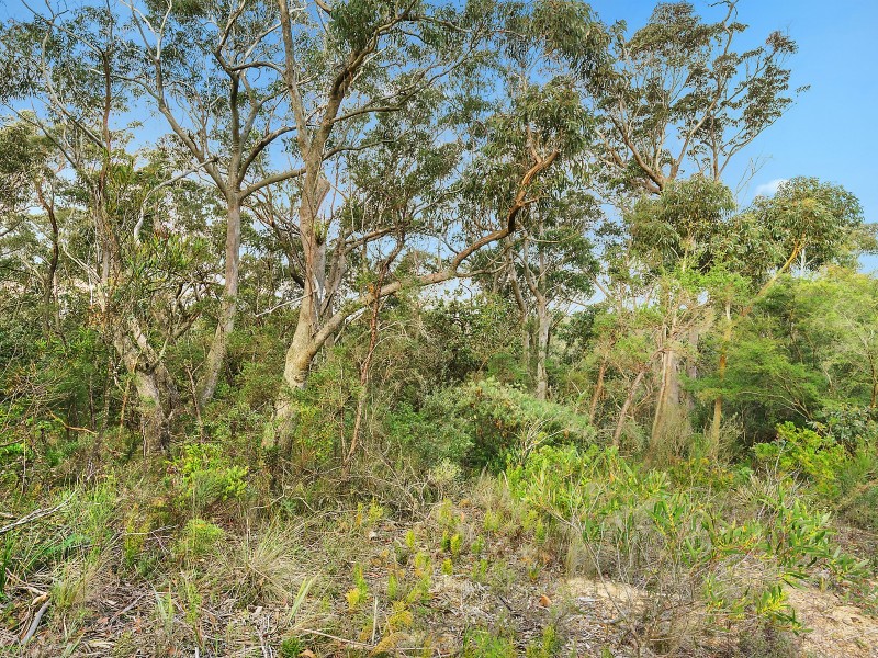 60 Railway Parade, Wentworth Falls NSW 2782